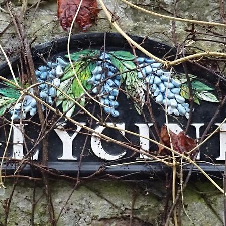 Le Glycine A Manoir Sainte Cecile Apartment Juvigny-Val-d'Andaine Ngoại thất bức ảnh