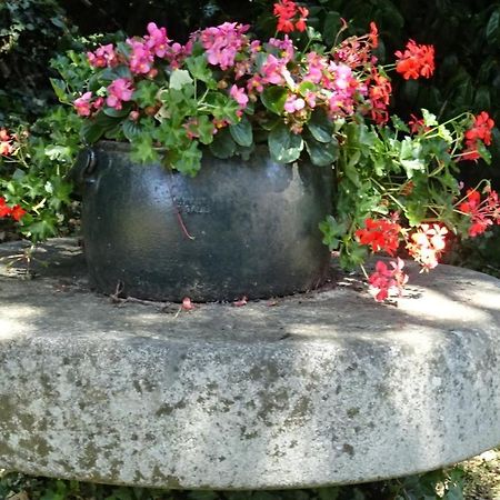 Le Glycine A Manoir Sainte Cecile Apartment Juvigny-Val-d'Andaine Ngoại thất bức ảnh